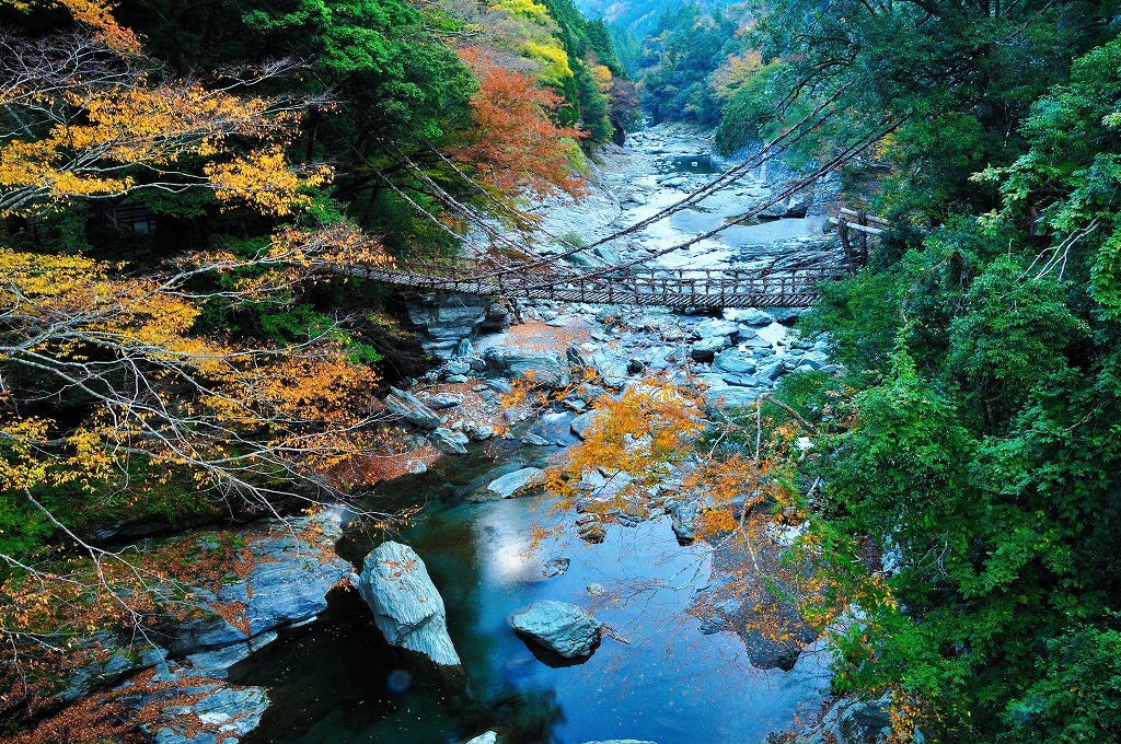 かずら橋（イメージ）