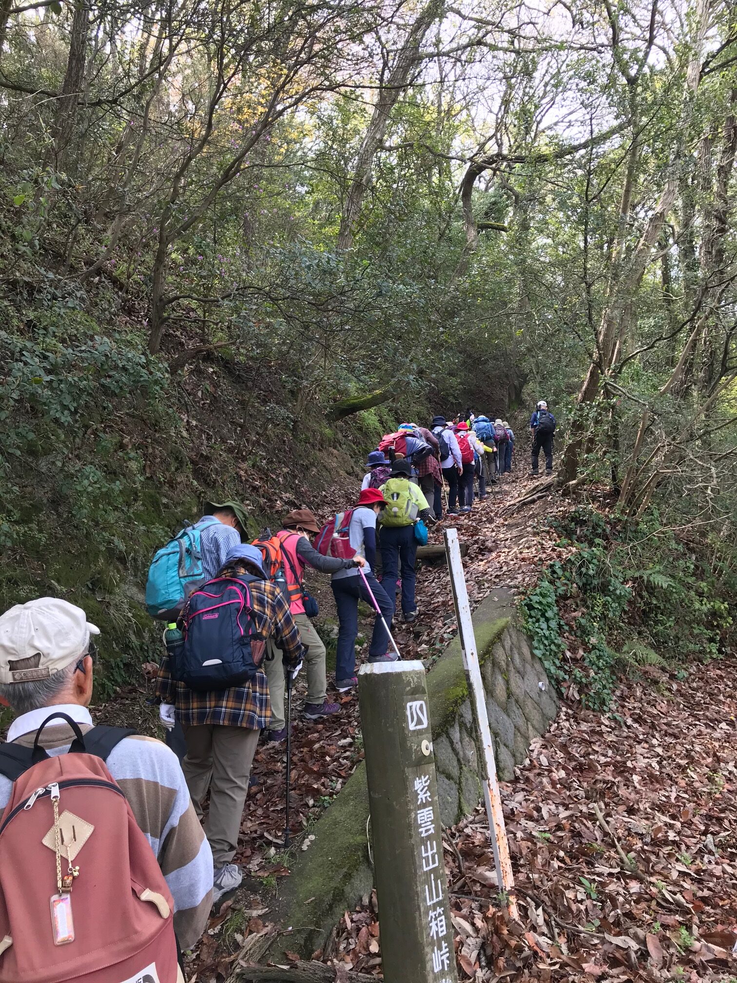 ハイキング（イメージ）