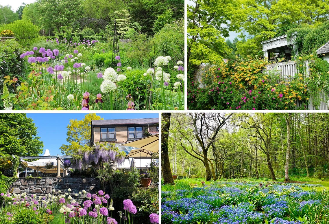 蓼科高原バラクライングリッシュガーデン（5月下旬～6月）　イメージ