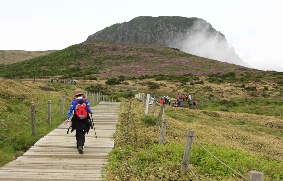 漢拏山（ハルラサン）　登山風景　イメージ