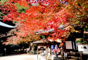 西山興隆寺イメージ