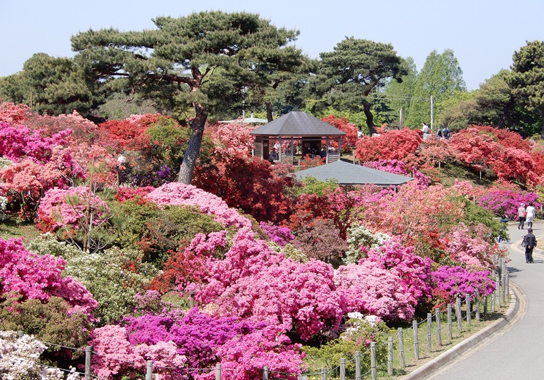 館林つつじが岡公園　イメージ