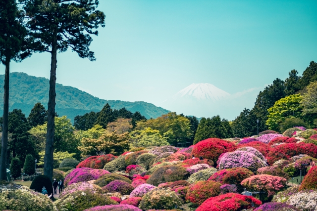 小田急 山のホテルの庭園　イメージ