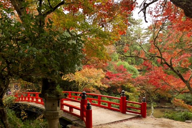 もみじ谷公園（イメージ）