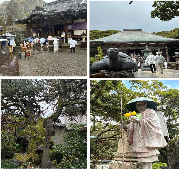 第16回イメージ（延光寺・金剛福寺）