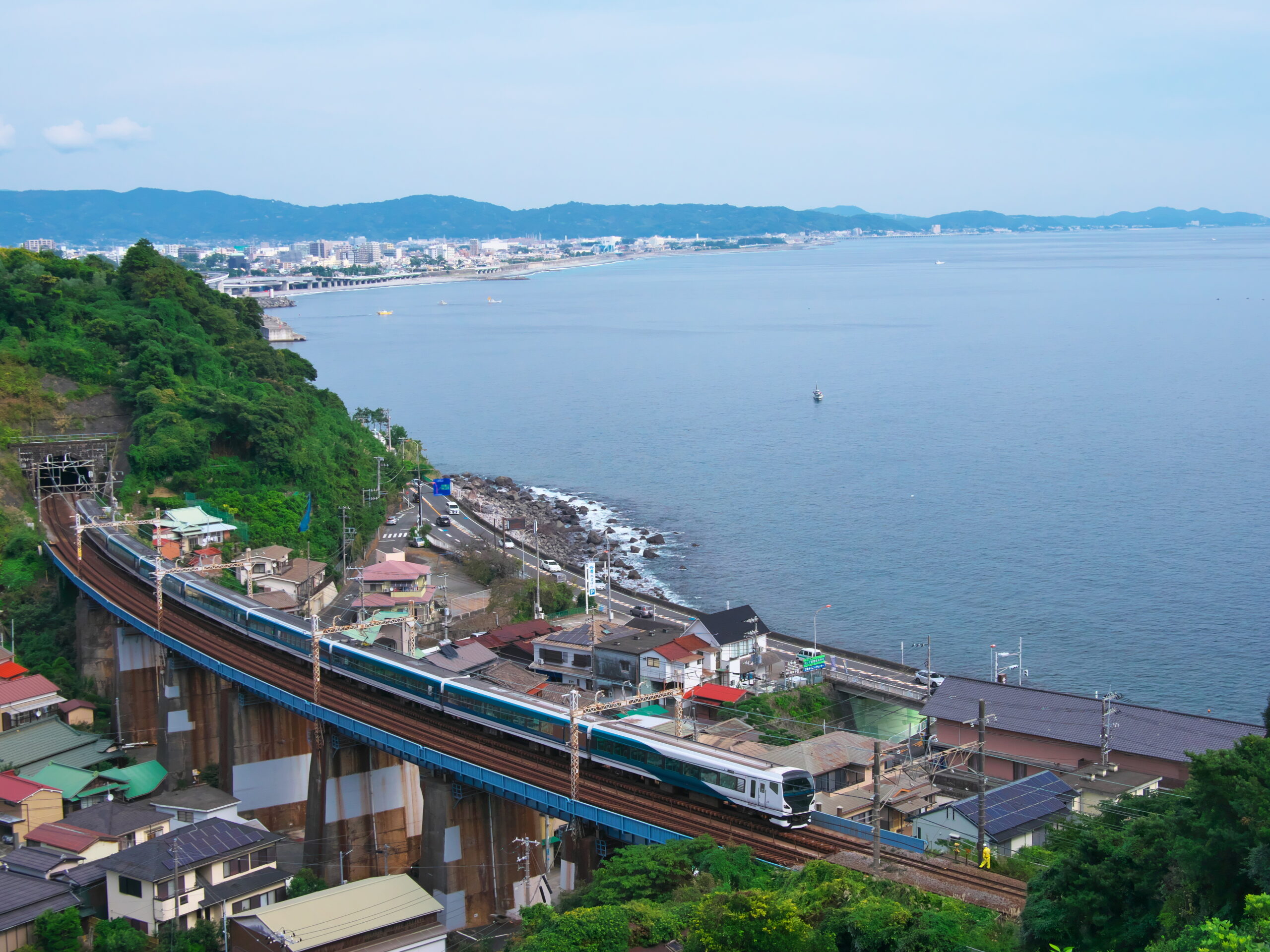 伊豆急行特急踊り子走行風景