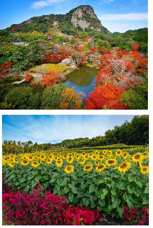 上段：御船山楽園　下段：山田ひまわり園　（イメージ）