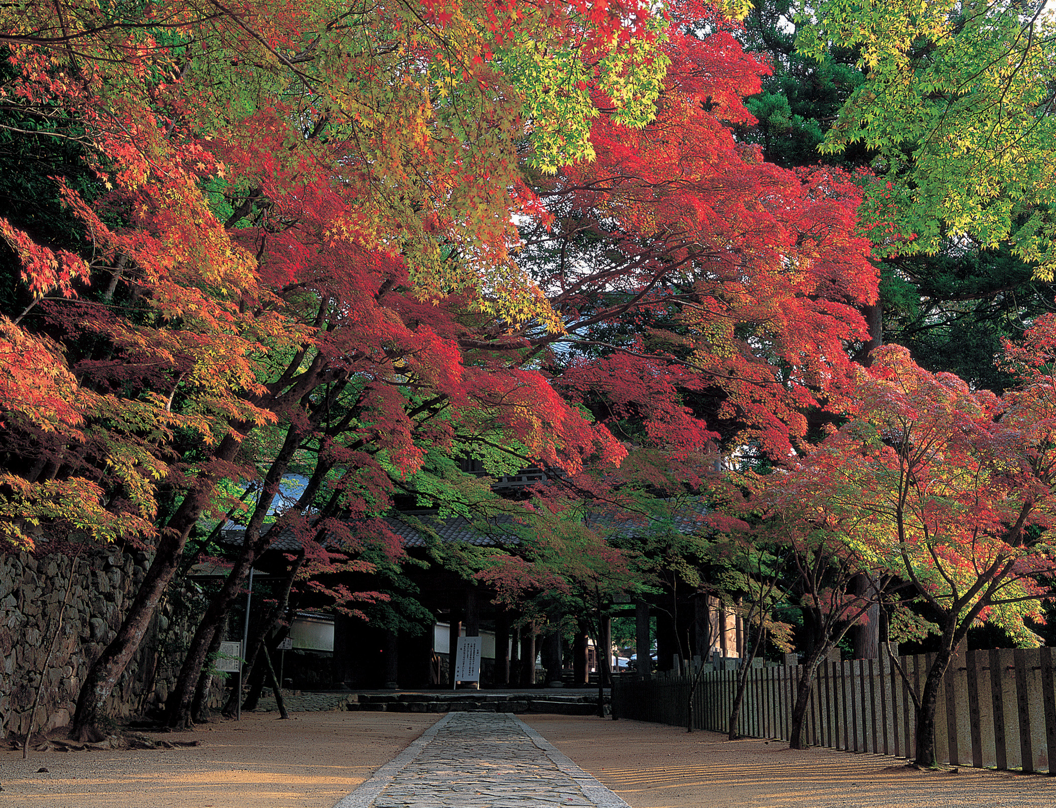 永源寺　※イメージ