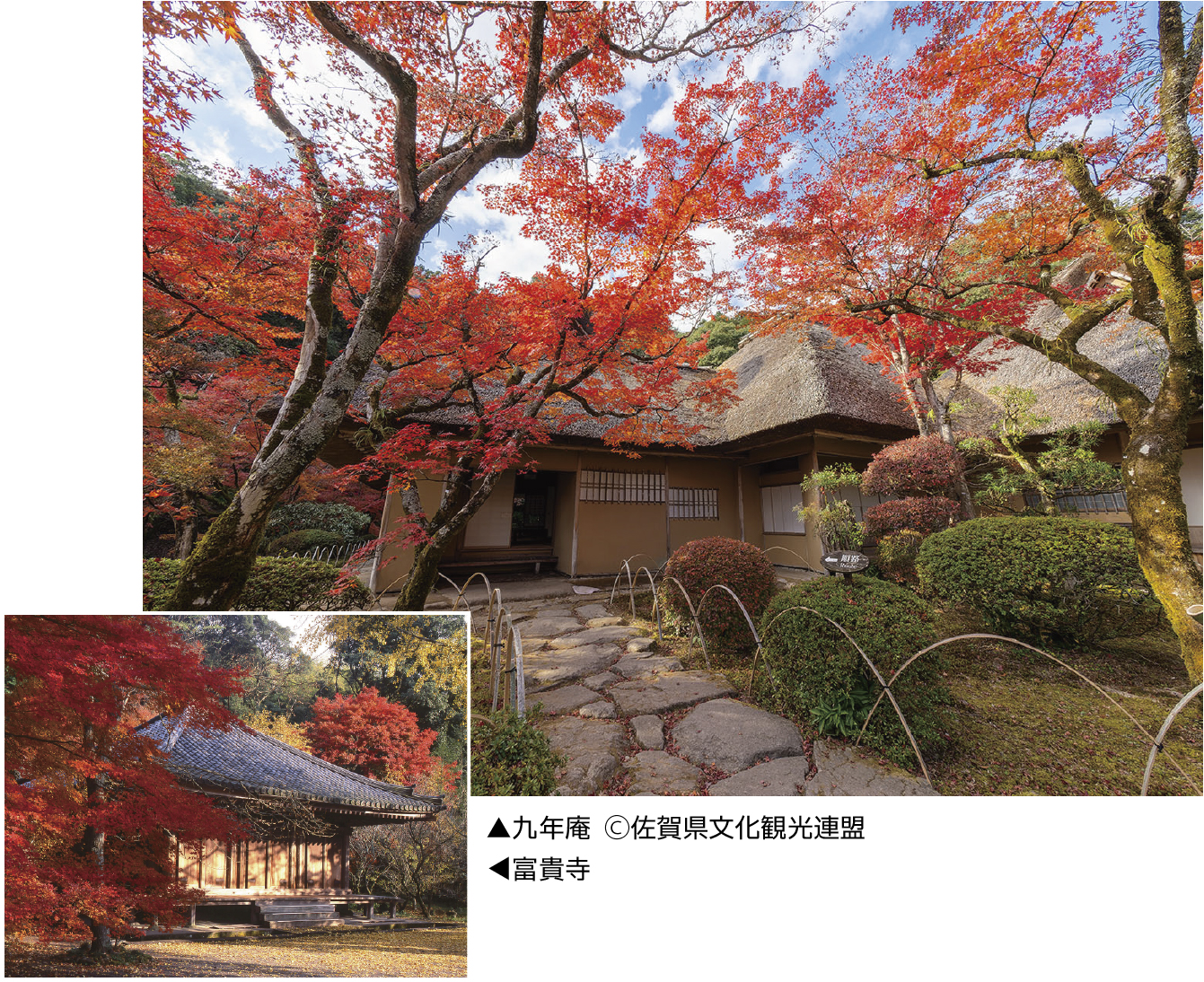 紅葉イメージ　※紅葉の時期は自然現象のため、必ず見ごろにご覧いただけるとは限りません。あらかじめご了承ください。